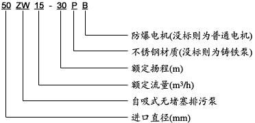 ZW型自吸式无堵塞排污泵